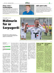 Síða 21