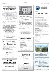 Síða 32