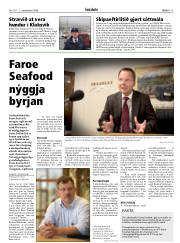 Síða 11