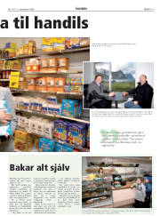 Síða 19