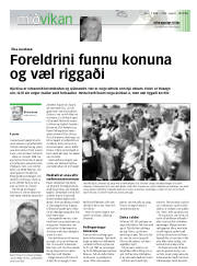 Síða 13