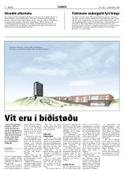 Síða 6