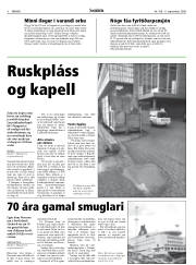 Síða 8