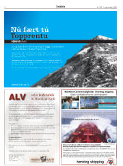 Síða 6