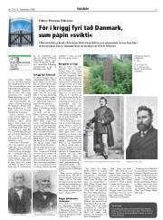 Síða 13