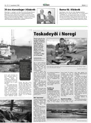 Síða 11