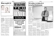 Síða 6