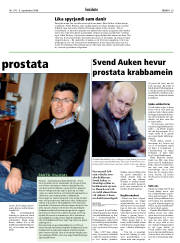 Síða 29