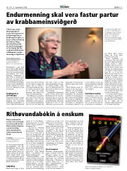 Síða 31
