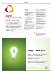 Síða 32