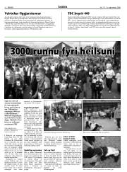 Síða 12