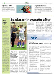 Síða 16