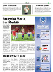 Síða 17