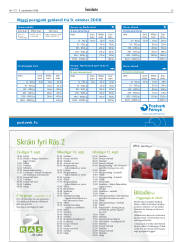 Síða 39