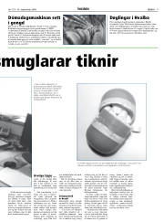 Síða 9
