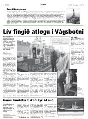 Síða 10