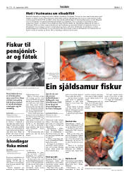 Síða 11