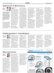 Síða 17