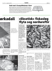 Síða 11