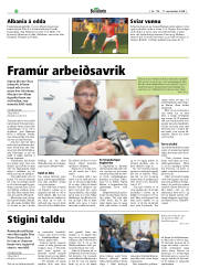 Síða 20