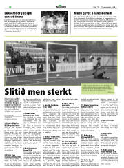 Síða 36