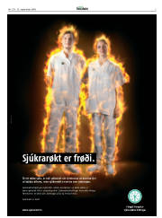 Síða 3