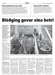 Síða 12