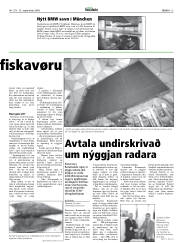 Síða 13