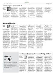 Síða 15