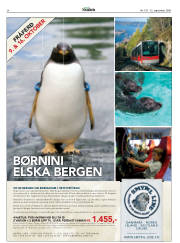Síða 24