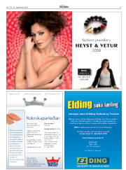 Síða 25