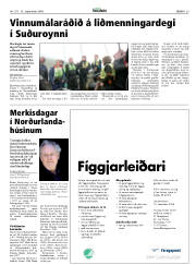 Síða 29