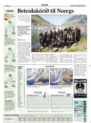 Síða 13