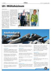 Síða 30