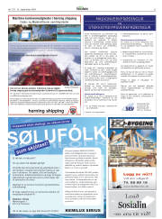 Síða 31