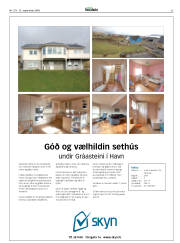 Síða 33