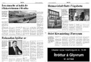 Síða 3