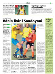 Síða 19