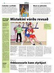 Síða 22