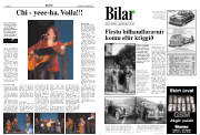 Síða 8