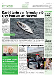 Síða 20
