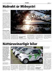 Síða 15