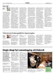 Síða 13