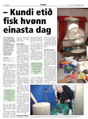 Síða 16
