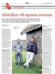 Síða 20