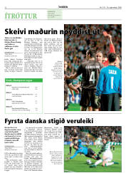 Síða 22