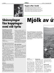 Síða 10