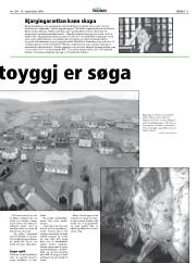 Síða 11