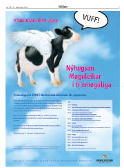 Síða 5