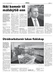 Síða 19